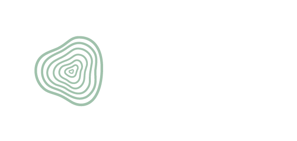 Salica Investments Logo